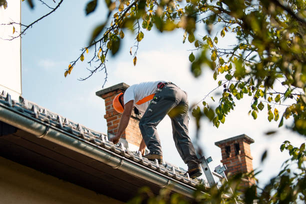 Best Roof Installation  in Estes Park, CO