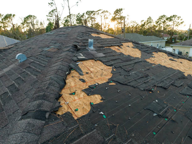 Best Roof Insulation Installation  in Estes Park, CO