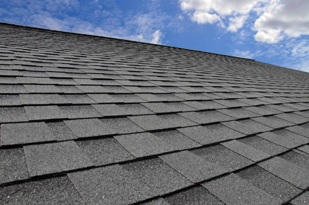 Best Sheet Metal Roofing  in Estes Park, CO